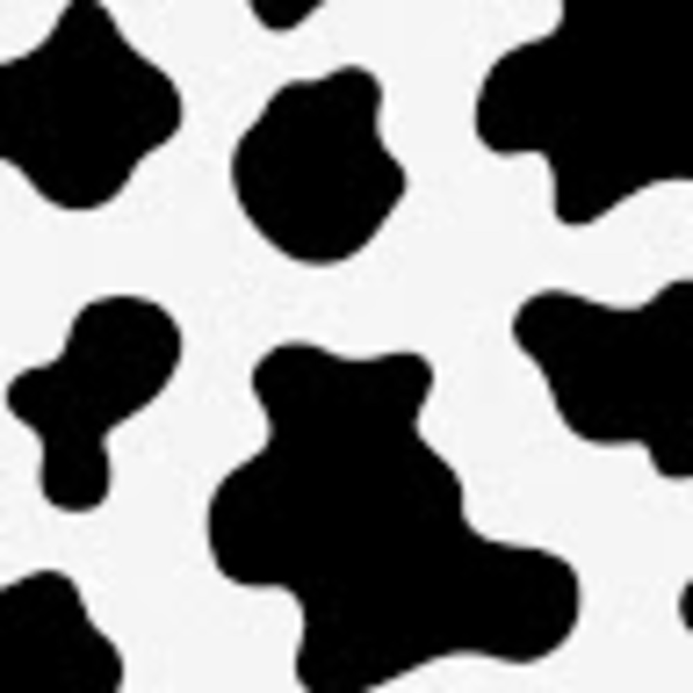 Meet your Posher, Nocomments